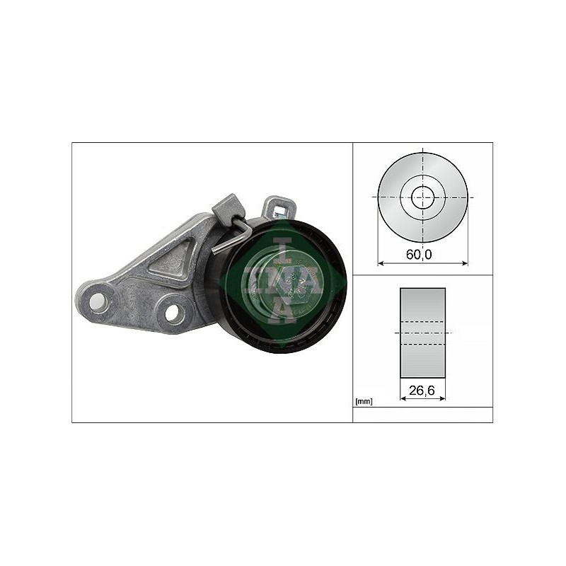 Tendicinghia distribuzione - INA