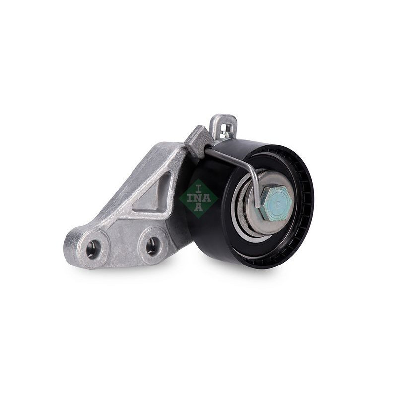 Tendicinghia distribuzione - INA