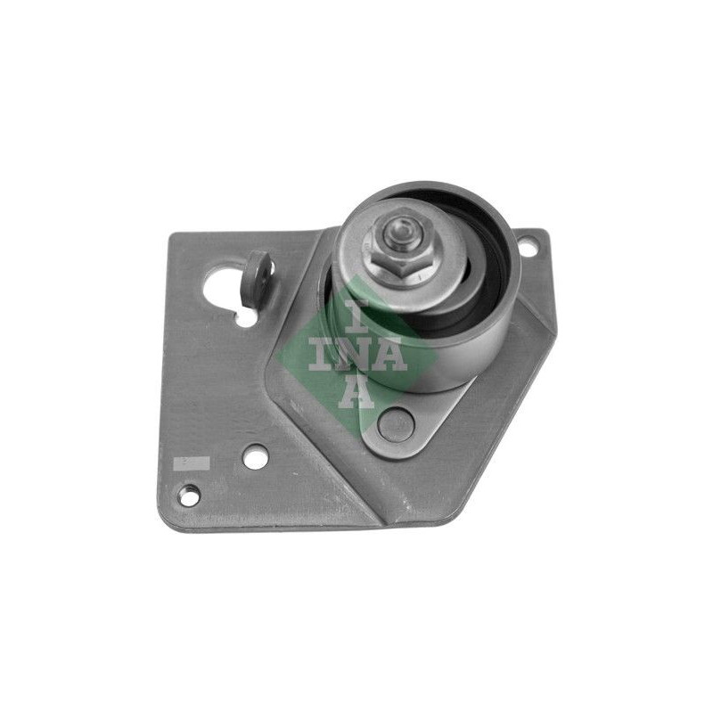 Tendicinghia distribuzione - INA