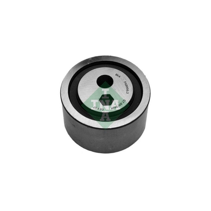 Tendicinghia distribuzione - INA