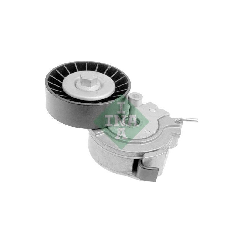 Tendicinghia trapezoidale - INA