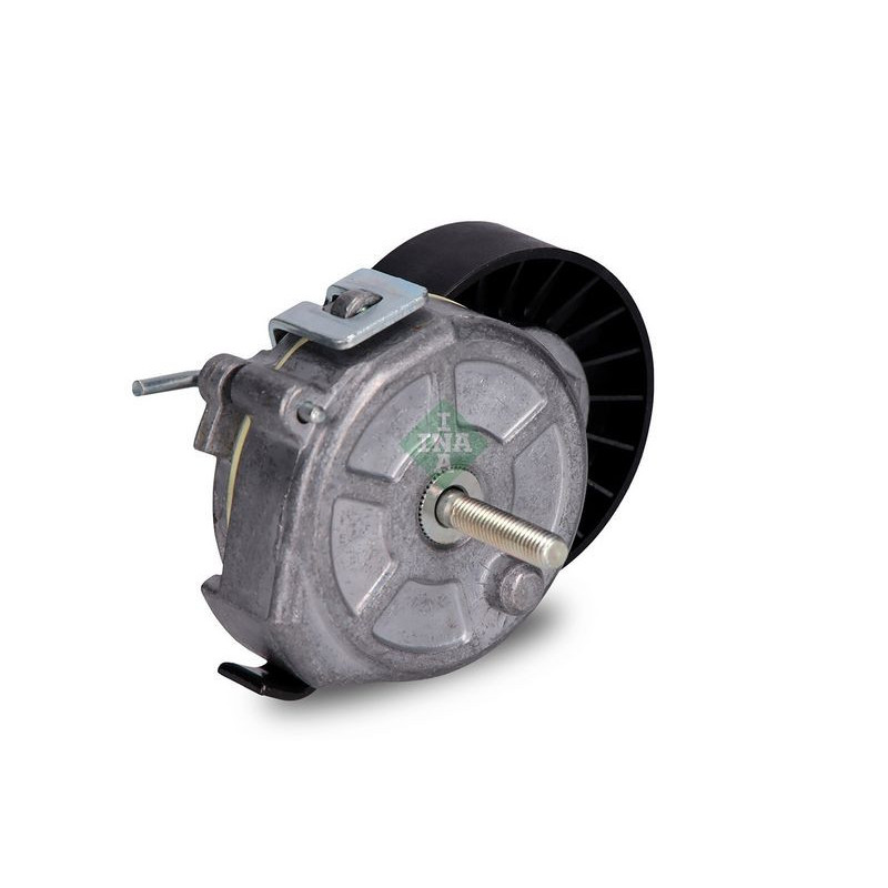 Tendicinghia trapezoidale - INA