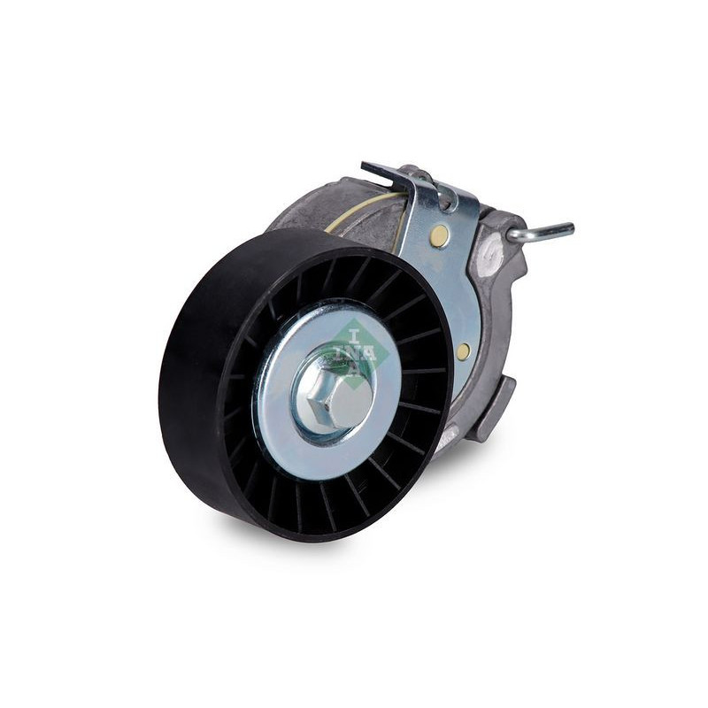 Tendicinghia trapezoidale - INA