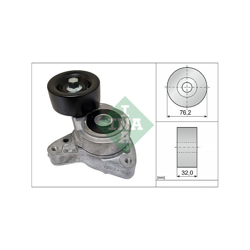 Tendicinghia trapezoidale - INA