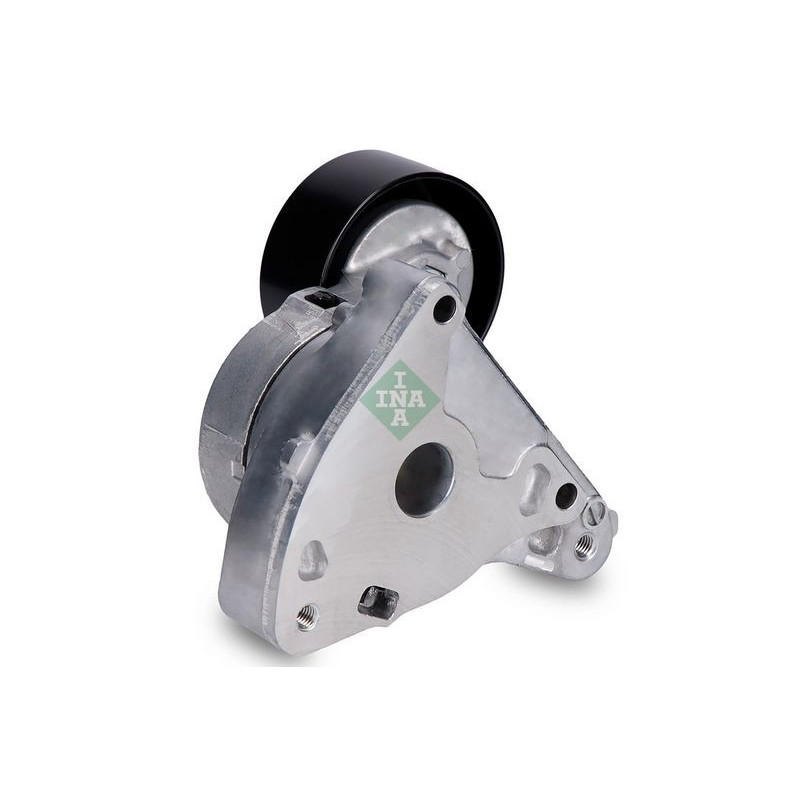 Tendicinghia trapezoidale - INA