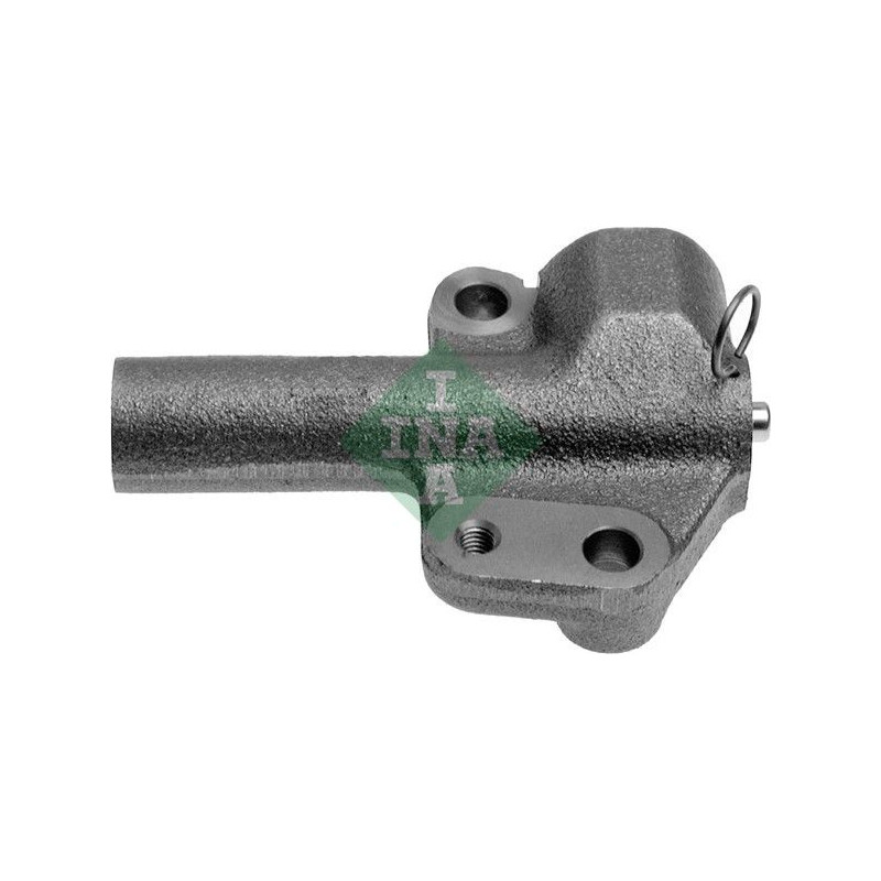 Tendicinghia distribuzione - INA