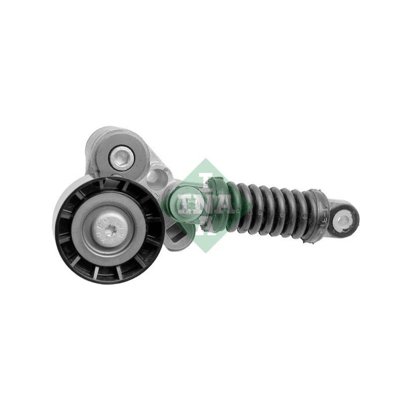 Tendicinghia trapezoidale - INA