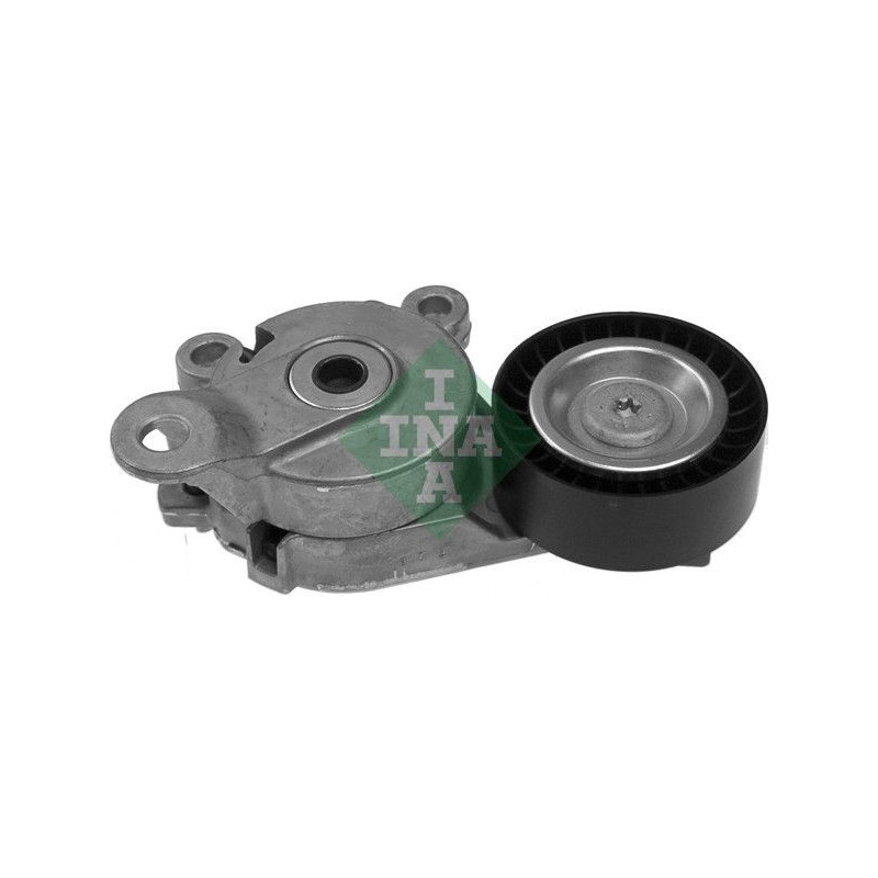 Tendicinghia trapezoidale - INA