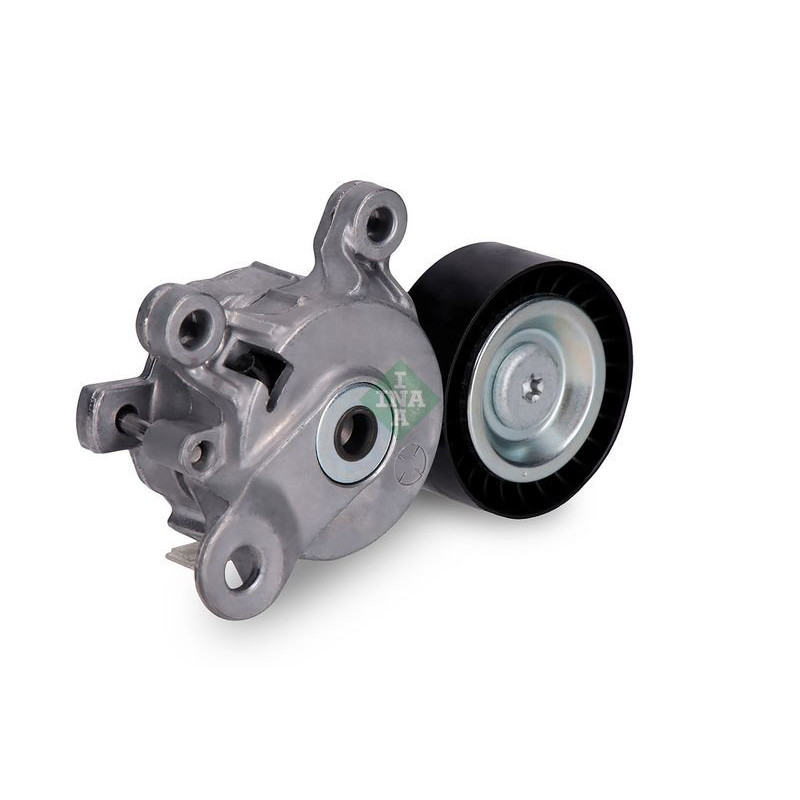 Tendicinghia trapezoidale - INA