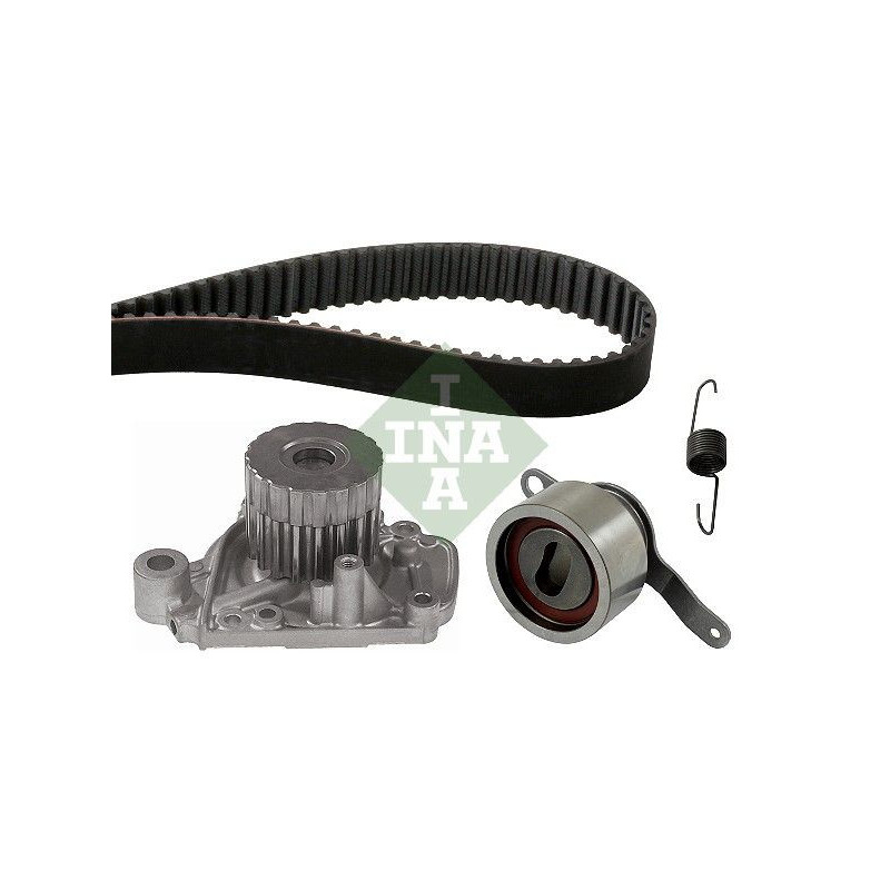 Tendicinghia trapezoidale - INA