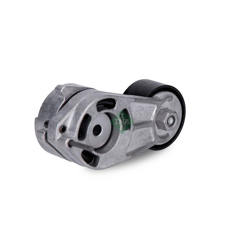 Tendicinghia trapezoidale - INA