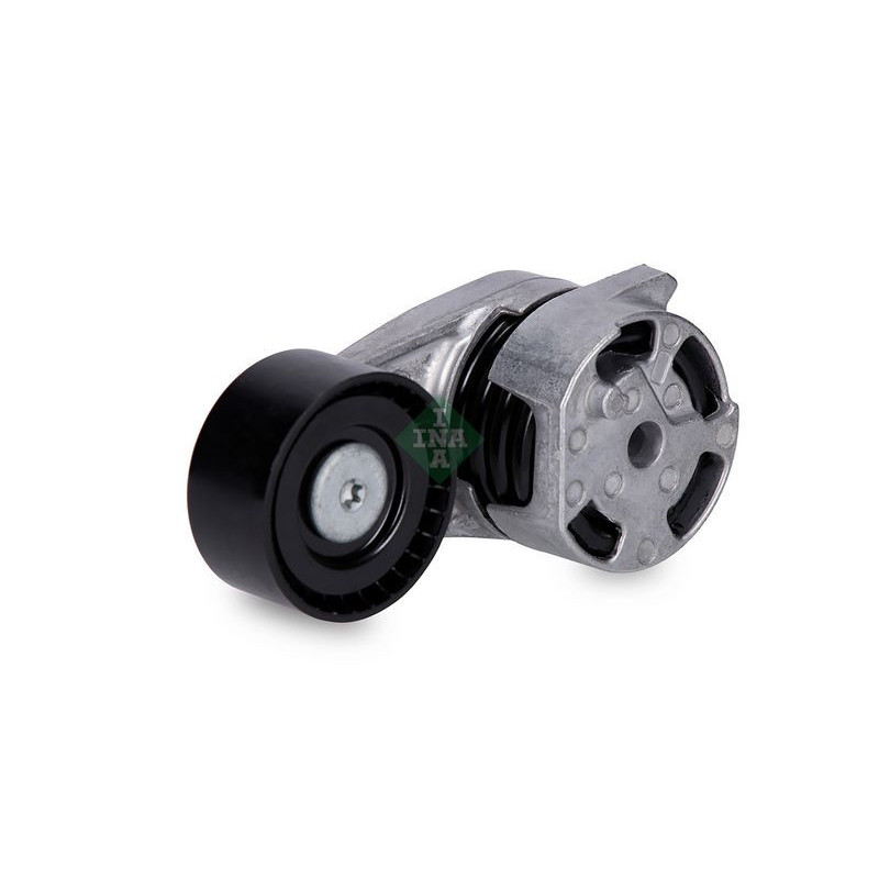 Tendicinghia trapezoidale - INA