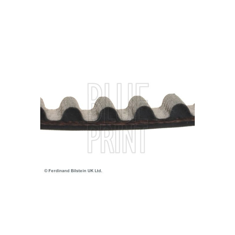 Cinghia/catena distribuzione - BLUE PRINT