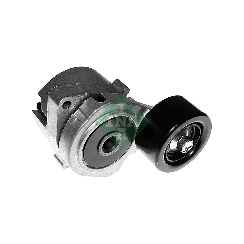 Tendicinghia trapezoidale - INA