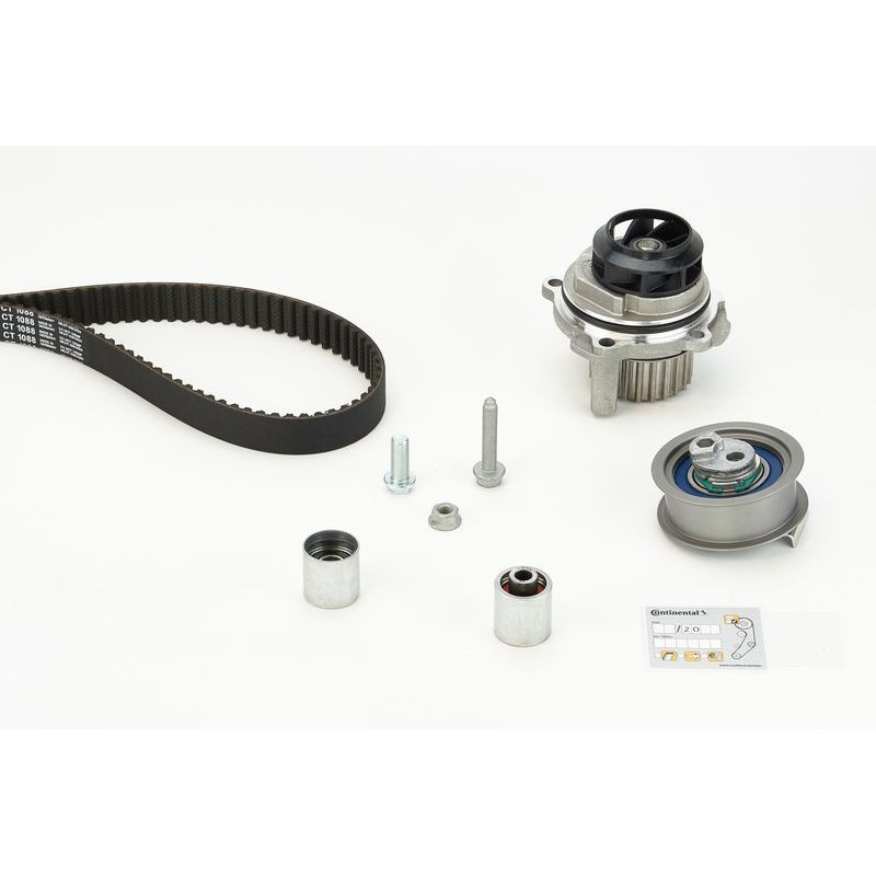 Cinghia/catena distribuzione - CONTITECH