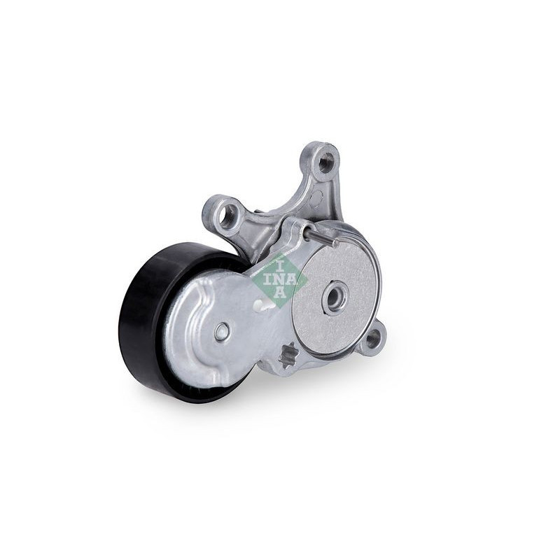 Tendicinghia trapezoidale - INA