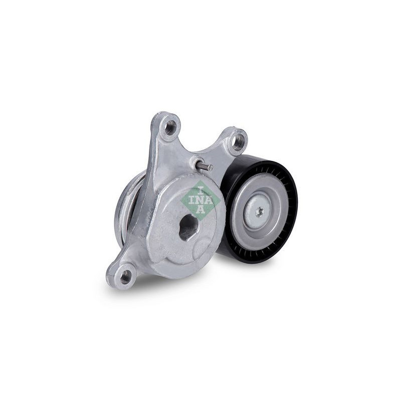 Tendicinghia trapezoidale - INA