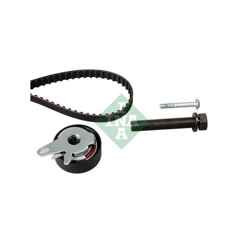 Kit distribuzione - INA