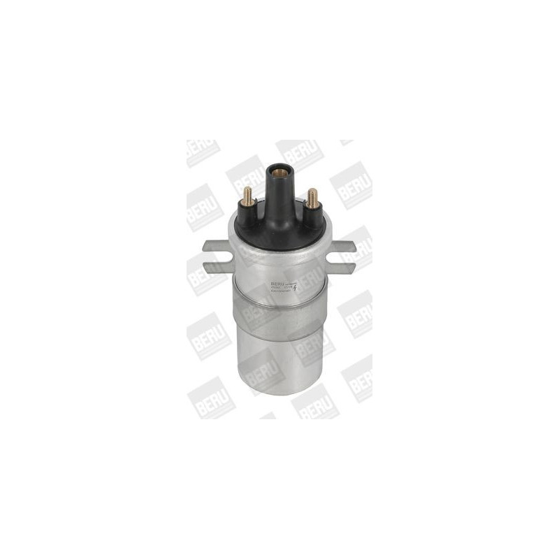 Bobina accensione - BORG WARNER