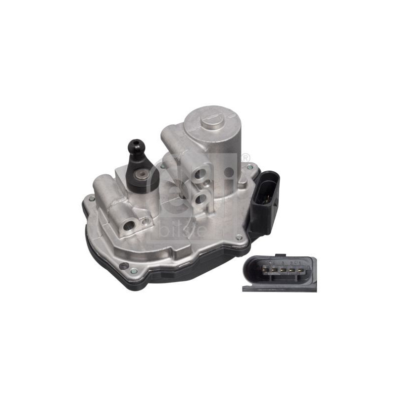 Corpo farfallato - FEBI