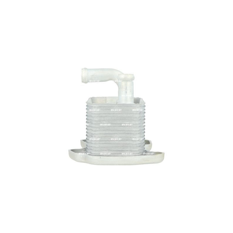 Radiatore olio motore - NRF