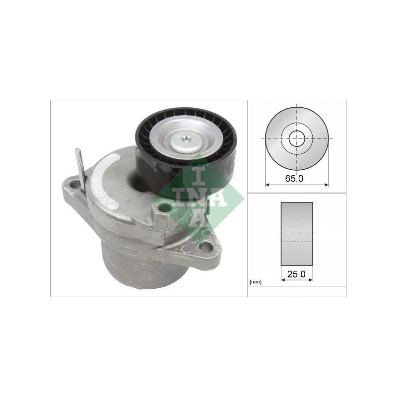 Tendicinghia trapezoidale - INA