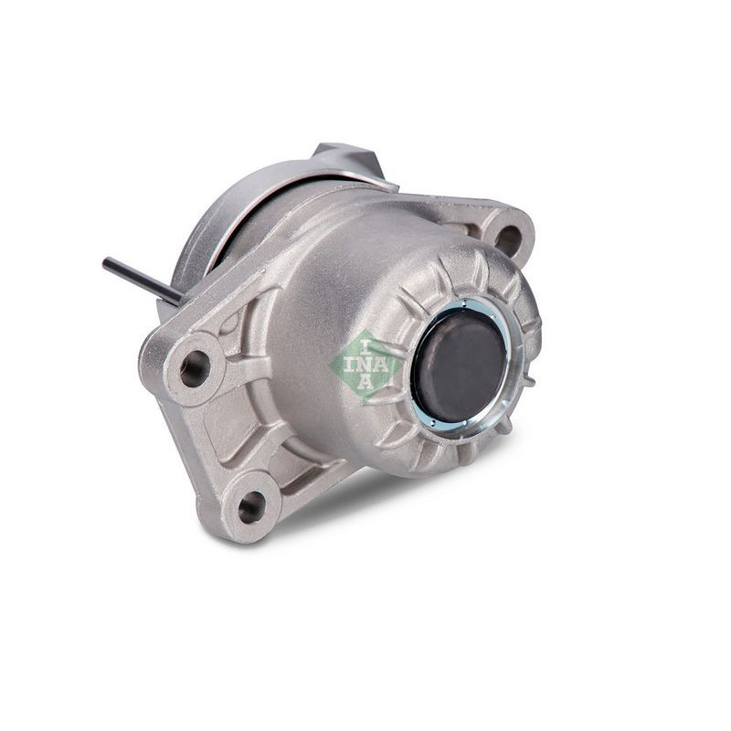 Tendicinghia trapezoidale - INA