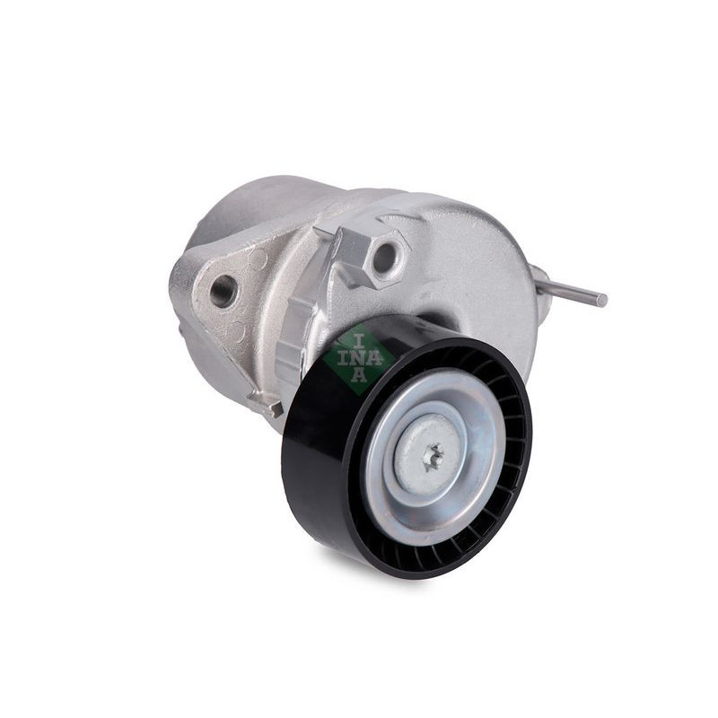 Tendicinghia trapezoidale - INA