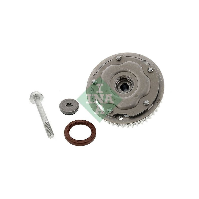 Tendicinghia distribuzione - INA