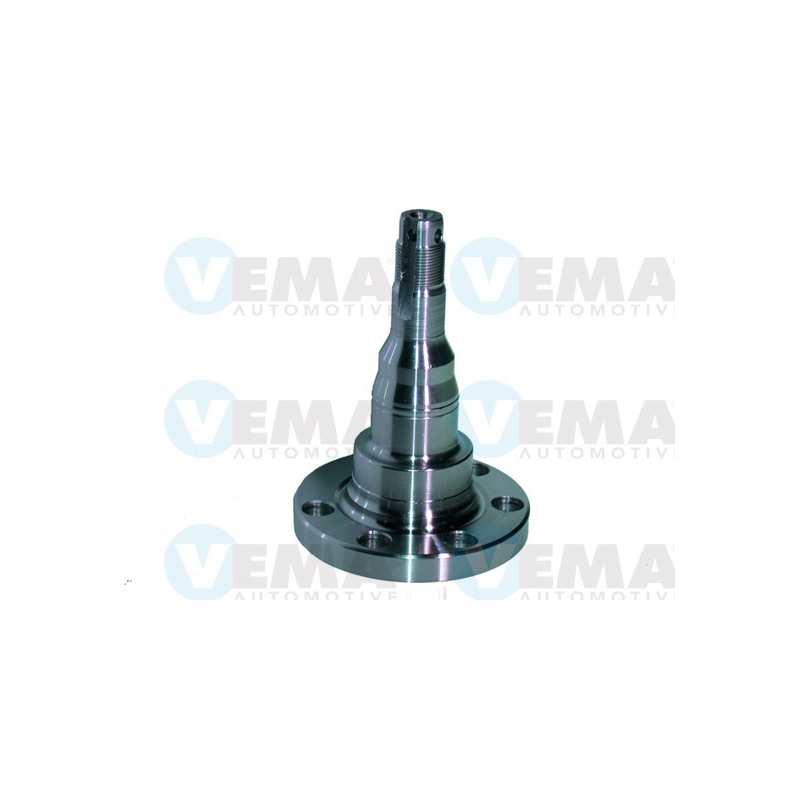 Mozzo ruota asse posteriore - VEMA
