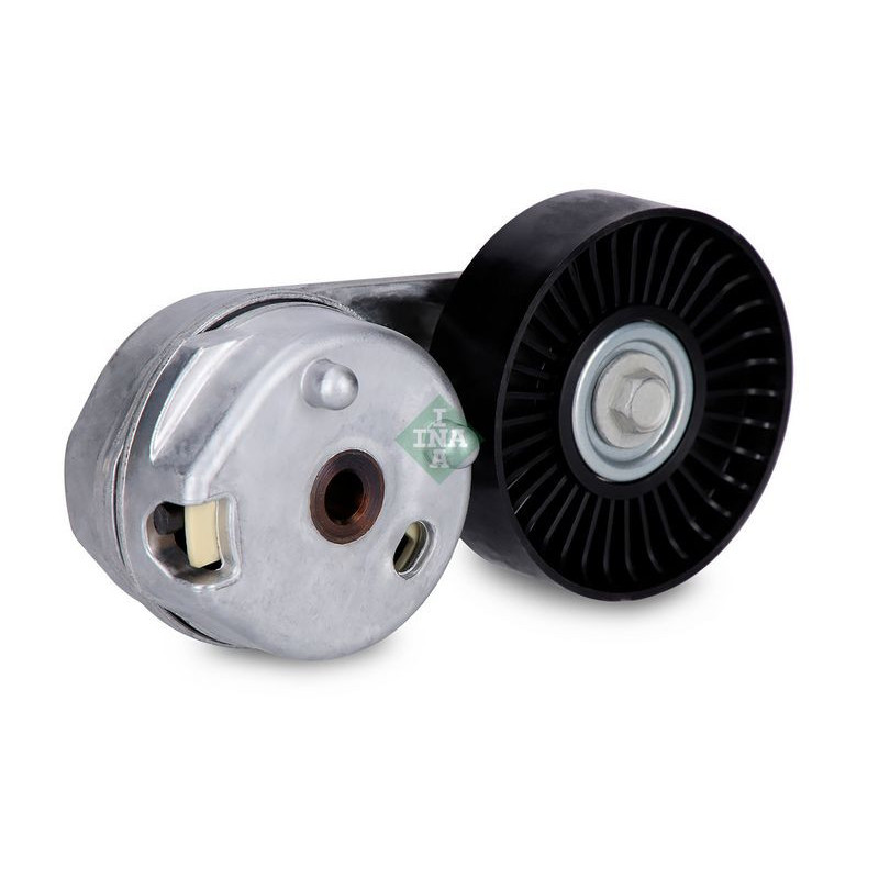 Tendicinghia trapezoidale - INA