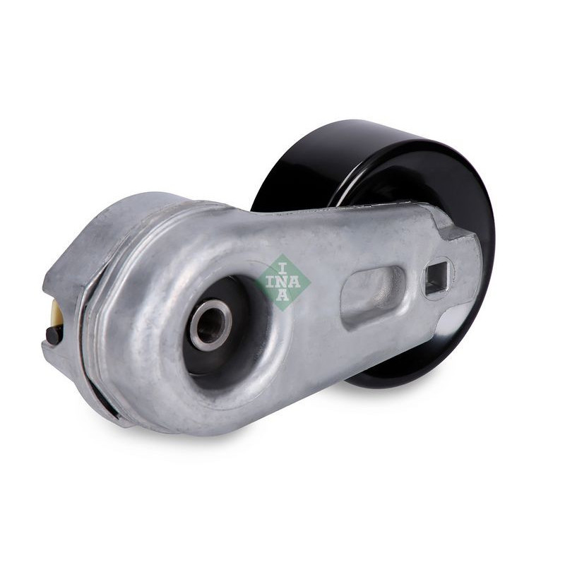 Tendicinghia trapezoidale - INA