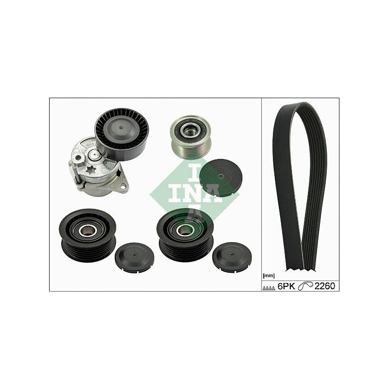 Tendicinghia trapezoidale - INA