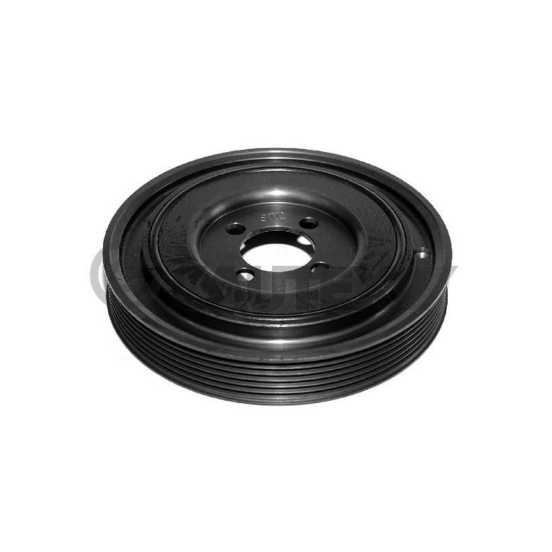 Puleggia albero motore - CAUTEX GOMMA E PARTI MOTORE
