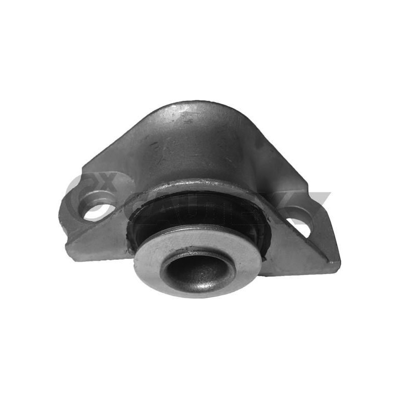 Braccio oscillante asse posteriore - CAUTEX GOMMA E PARTI MOTORE