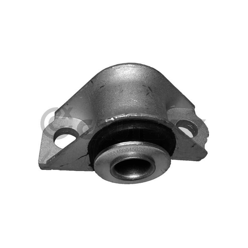 Braccio oscillante asse posteriore - CAUTEX GOMMA E PARTI MOTORE