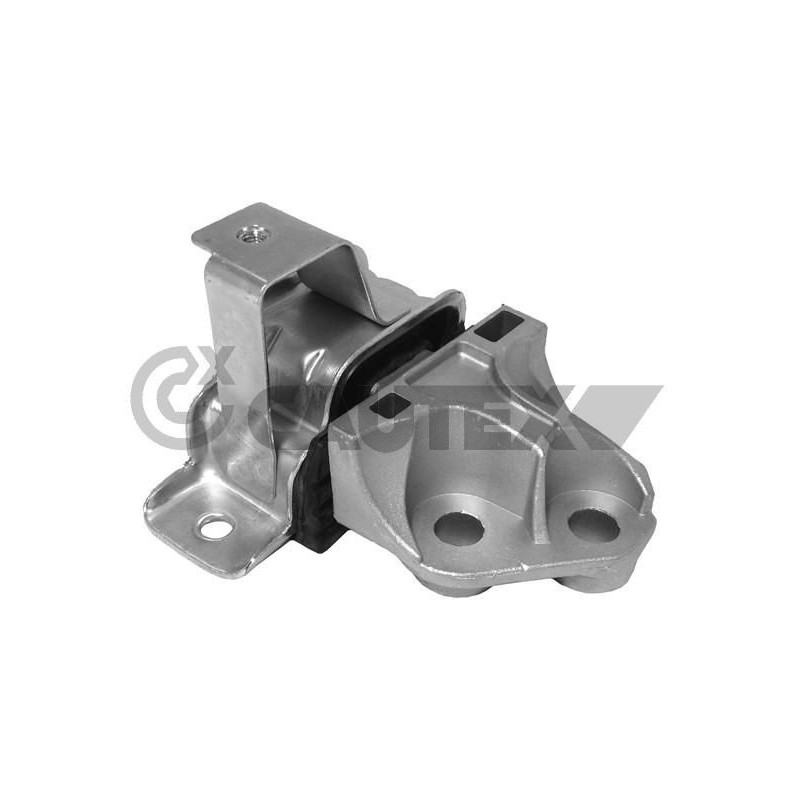 Supporto motore - CAUTEX GOMMA E PARTI MOTORE