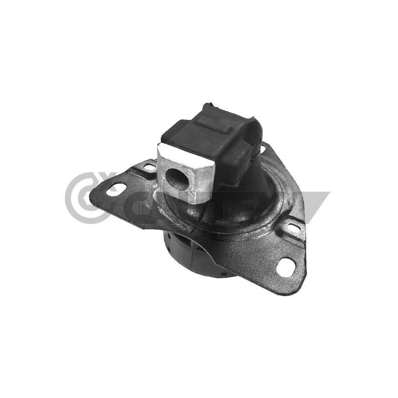 Supporto motore - CAUTEX GOMMA E PARTI MOTORE