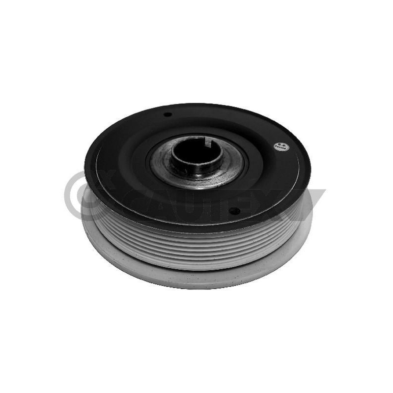 Puleggia albero motore - CAUTEX GOMMA E PARTI MOTORE