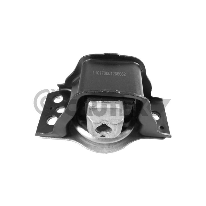 Supporto motore - CAUTEX GOMMA E PARTI MOTORE