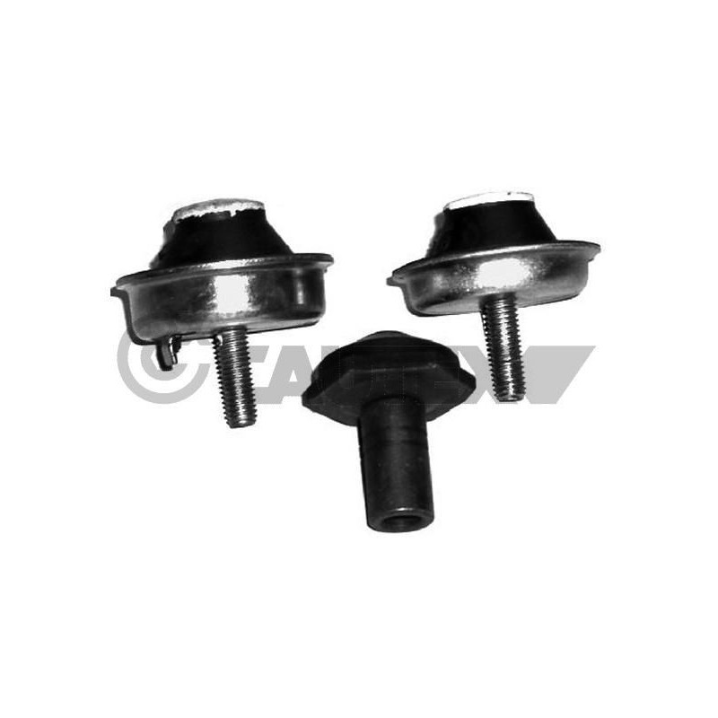 Supporto motore - CAUTEX GOMMA E PARTI MOTORE