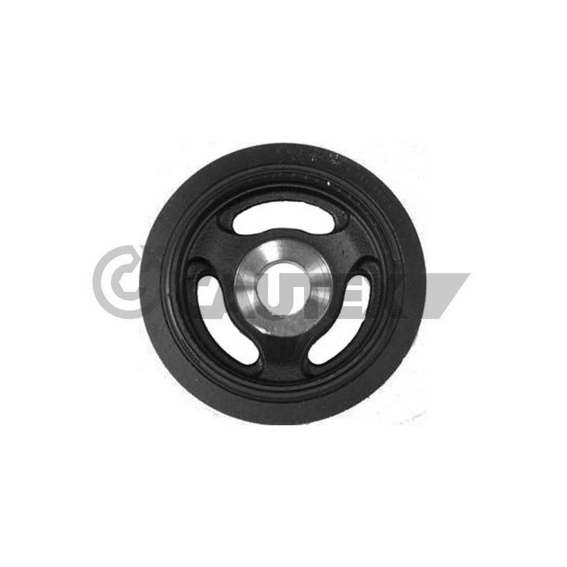 Puleggia albero motore - CAUTEX GOMMA E PARTI MOTORE