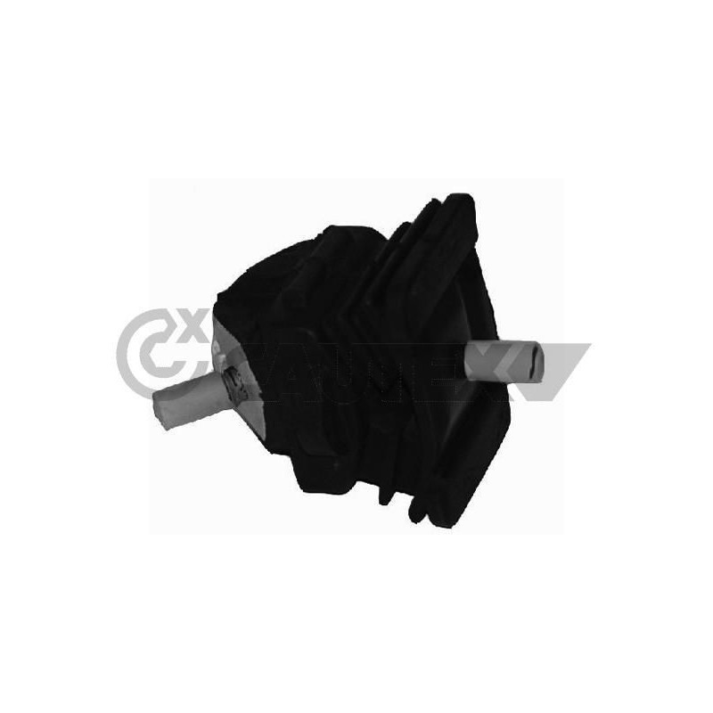 Supporto motore - CAUTEX GOMMA E PARTI MOTORE