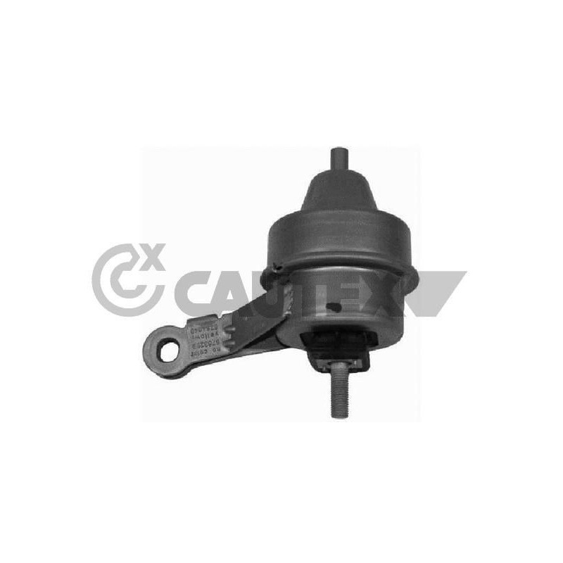 Supporto motore - CAUTEX GOMMA E PARTI MOTORE