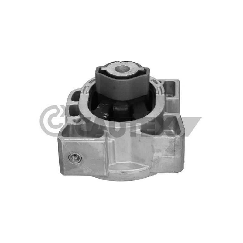 Supporto motore - CAUTEX GOMMA E PARTI MOTORE