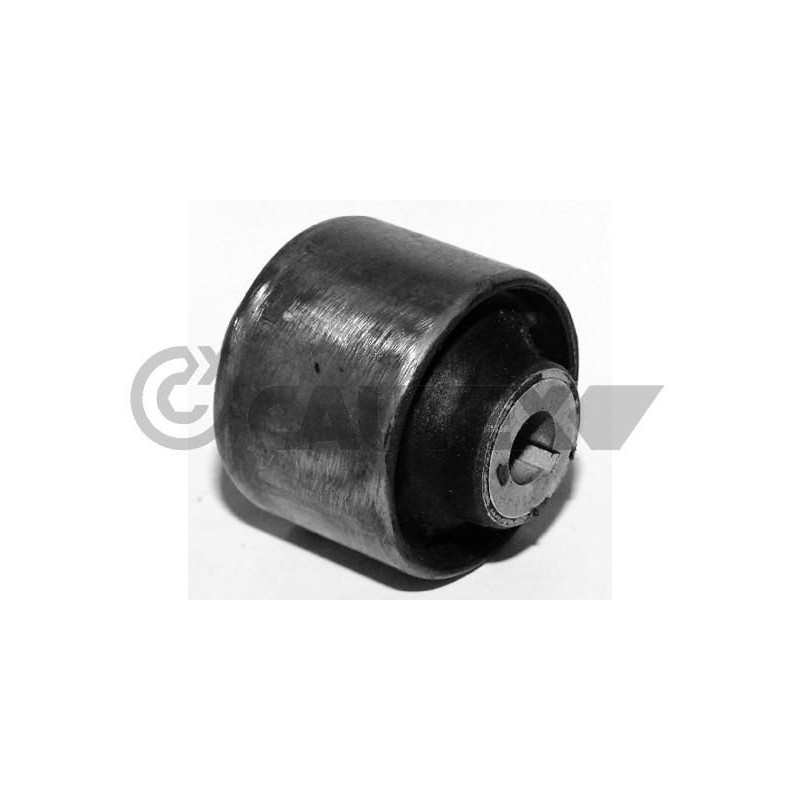 Supporto motore - CAUTEX GOMMA E PARTI MOTORE