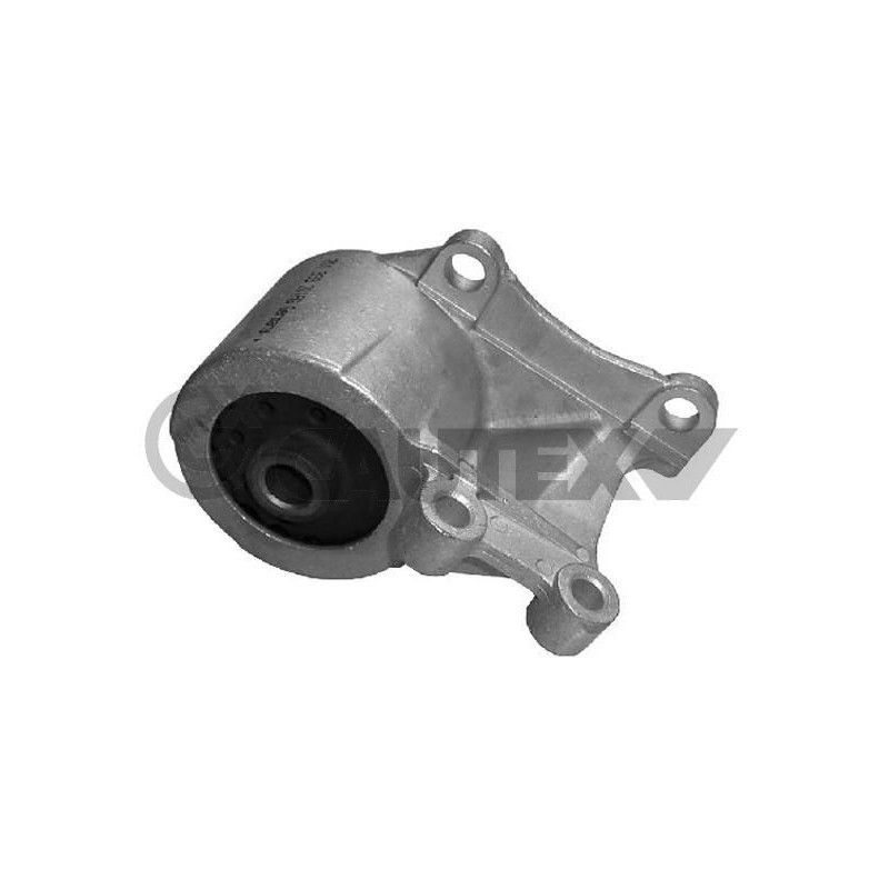 Supporto motore - CAUTEX GOMMA E PARTI MOTORE