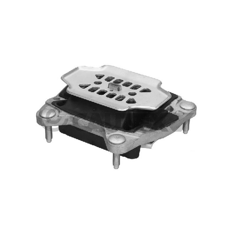 Supporto motore - CAUTEX GOMMA E PARTI MOTORE