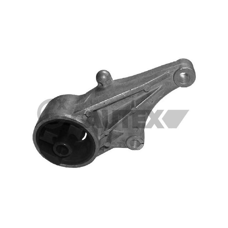 Supporto motore - CAUTEX GOMMA E PARTI MOTORE