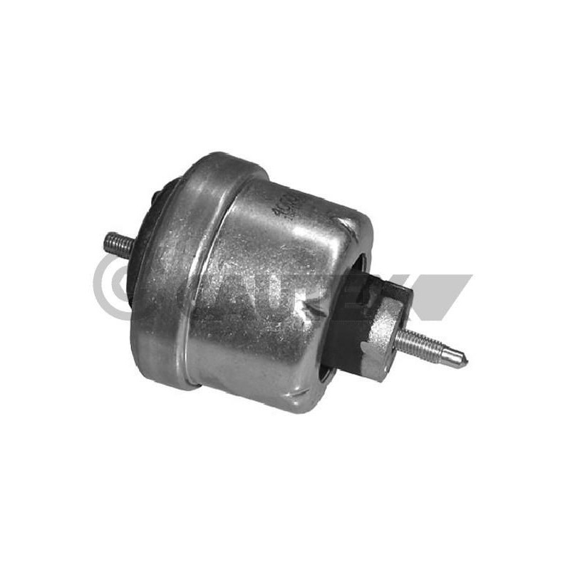 Supporto motore - CAUTEX GOMMA E PARTI MOTORE